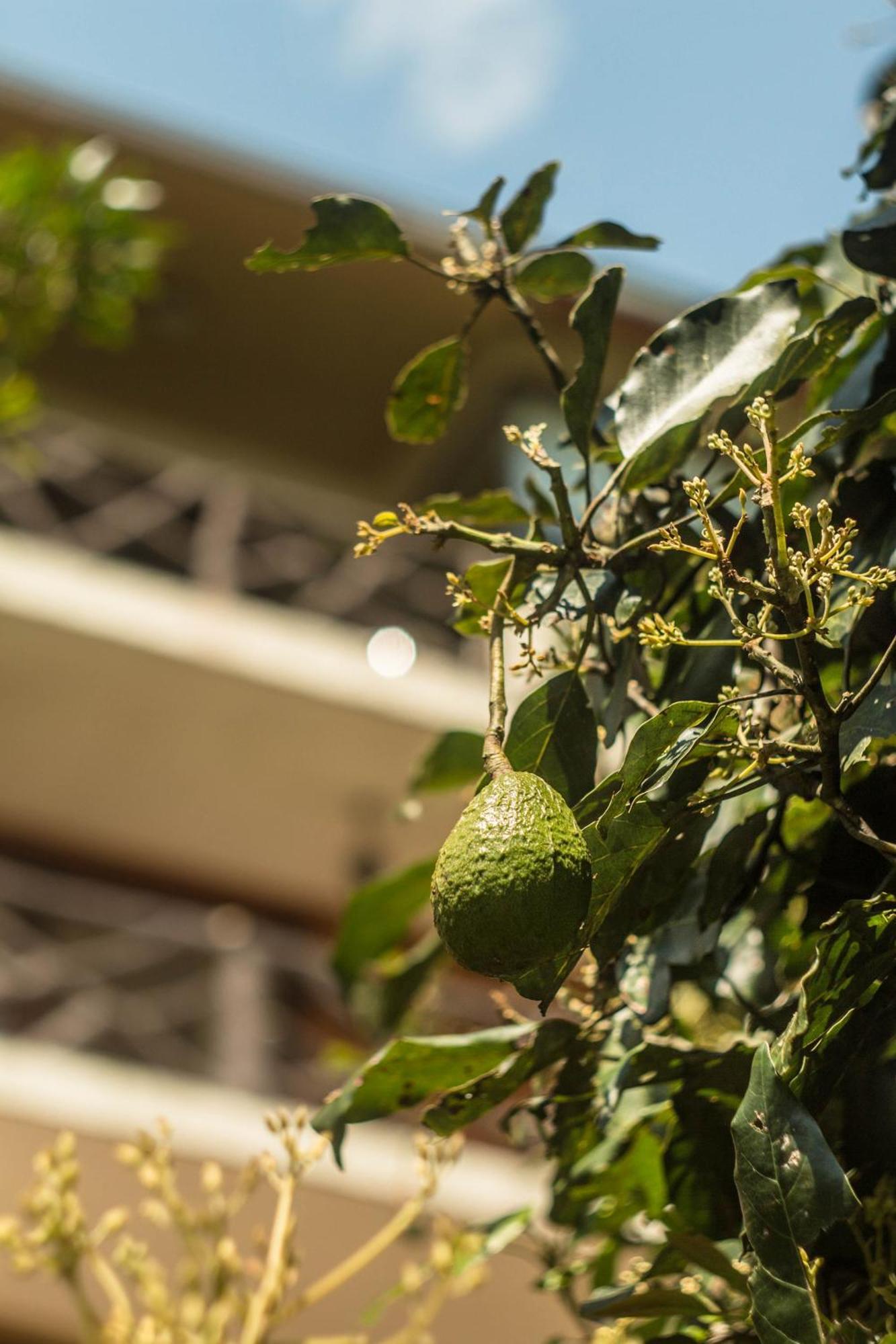 Hotel Aldea Real Eco Friendly Baños Exteriér fotografie